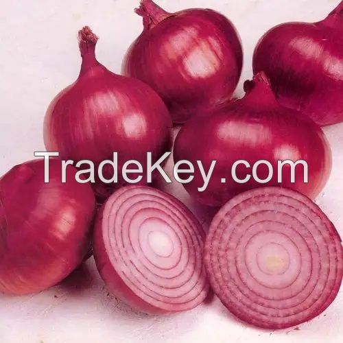 Wholesale Price Fresh Red & White Onion