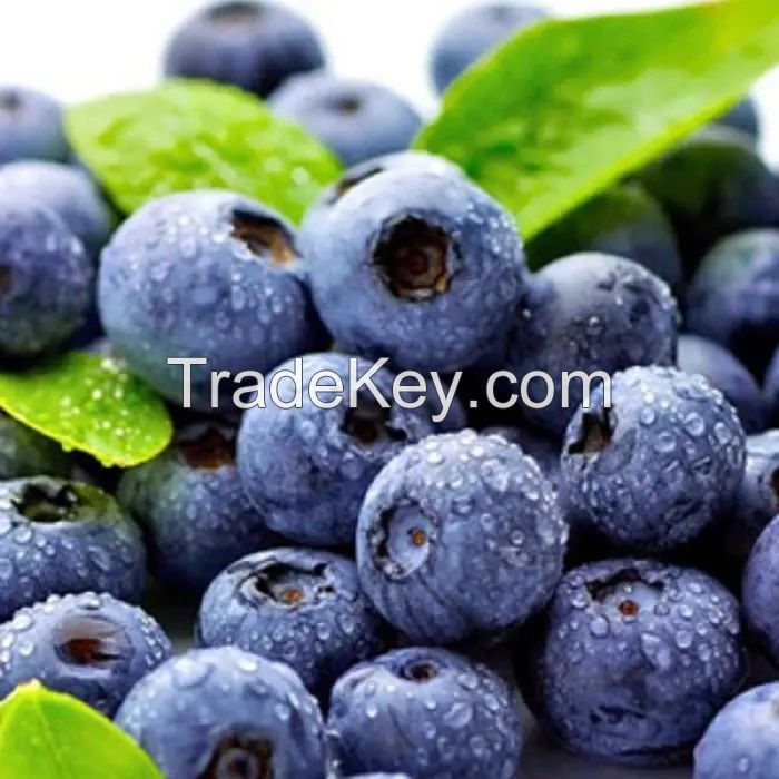 Fresh Berries Blueberry
