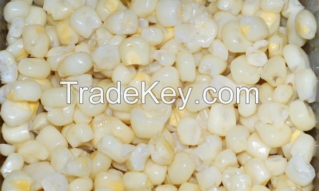 White Maize Corn 100% GMO free