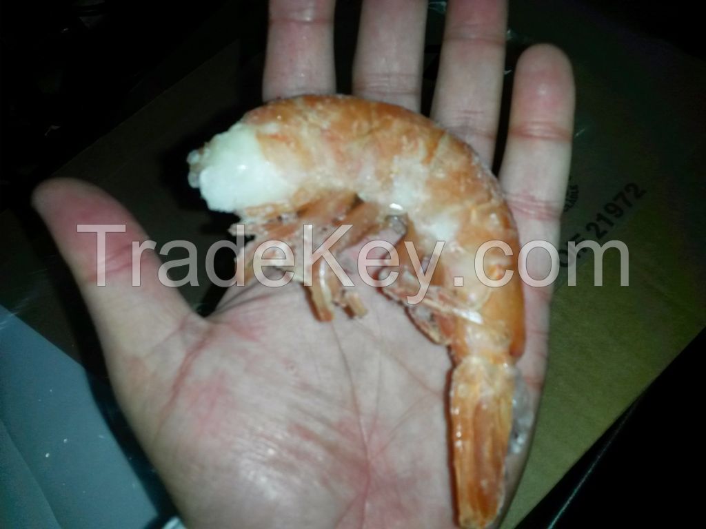 Wild SHRIMPS (Pleoticus mulleri) pink-red, from cold waters, Land frozen