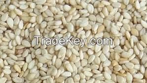 Sesame seeds, sunflower seeds, pumpkin seeds, tomato seeds, hybrid seeds, 