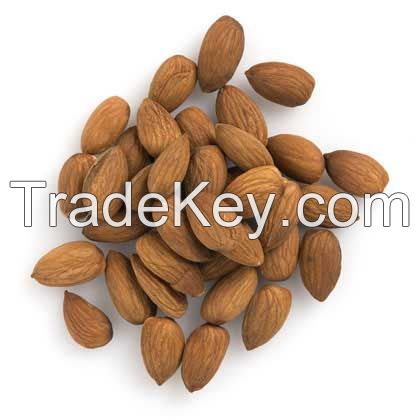 Nuts and Seeds at Affordable Price