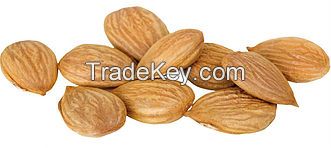 Organic Conventinal Dried Apricot Kernels