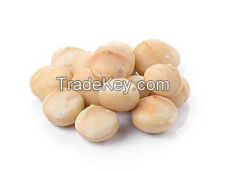 Macadamia Nuts Kernels