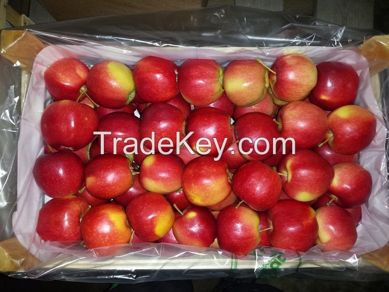 Red colored polish apples