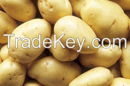 Non-GMO Fresh Potatoes