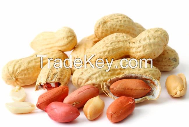 Sell Organic Raw Roasted  Peanuts with skin