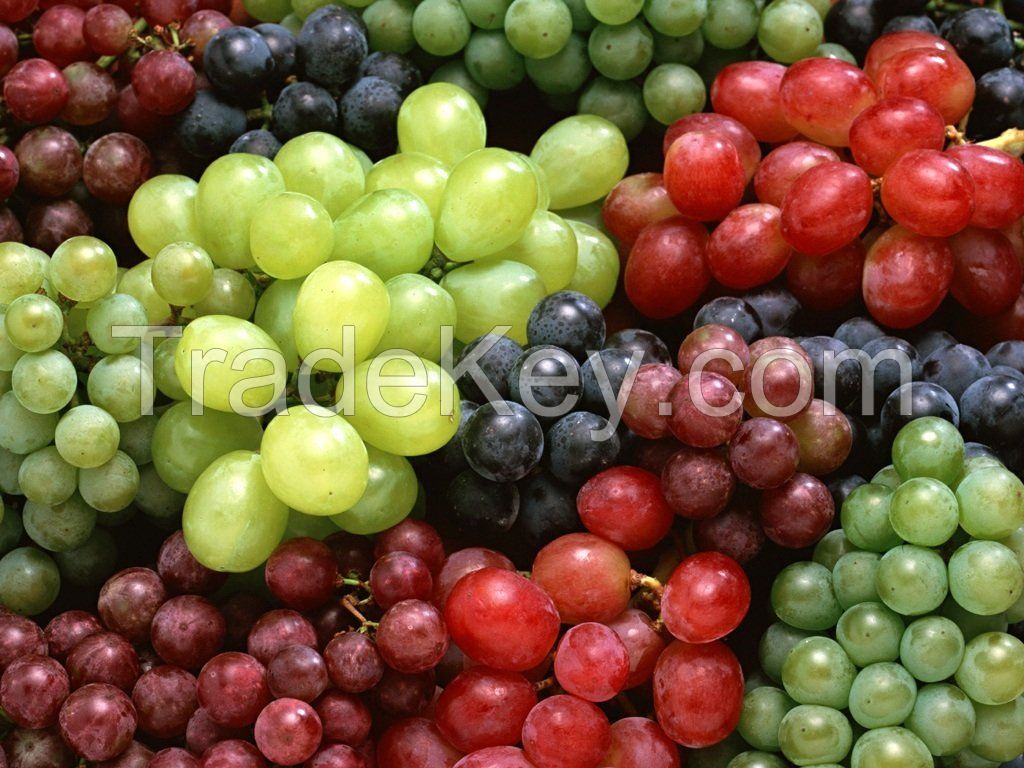 Fresh Sweet Red Grapes / Green Seedless Grapes