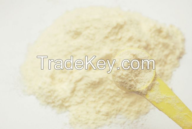 Skimmed Milk Powder