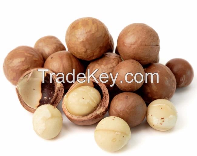 Raw Macadamia Nuts