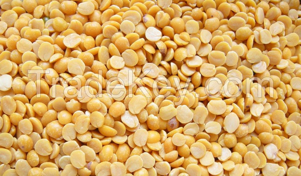 Pulses and Lentils Moong Dal / Chana Dal / Peas