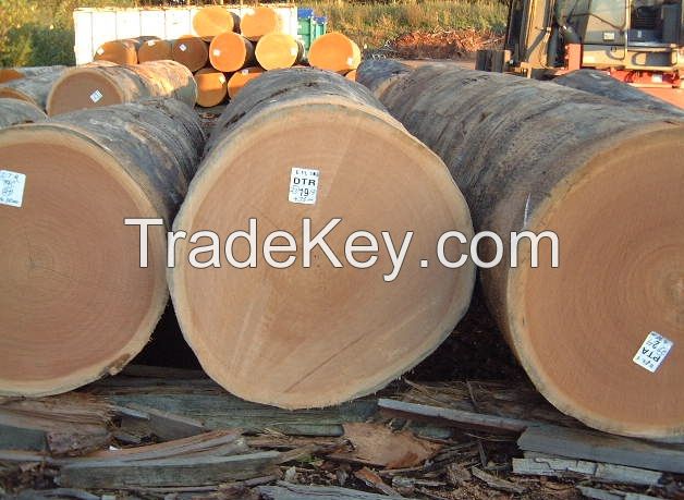 Quality Timber Logs For Sale