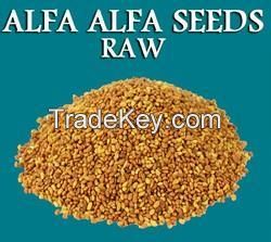 Alfalfa seed For Sale
