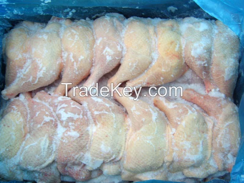 High Quality Halal Whole frozen chicken for sale