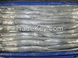 Frozen Ribbon Fishes For Sale