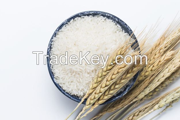 Quality Shiratak white rice