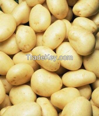 Organic Washed Irish Potatoes