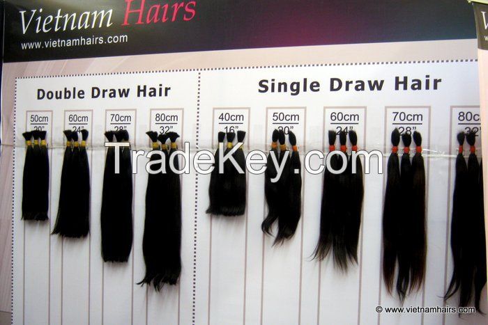 Human Hair, Vietnamese Hair, Raw Hair Wholesale Price