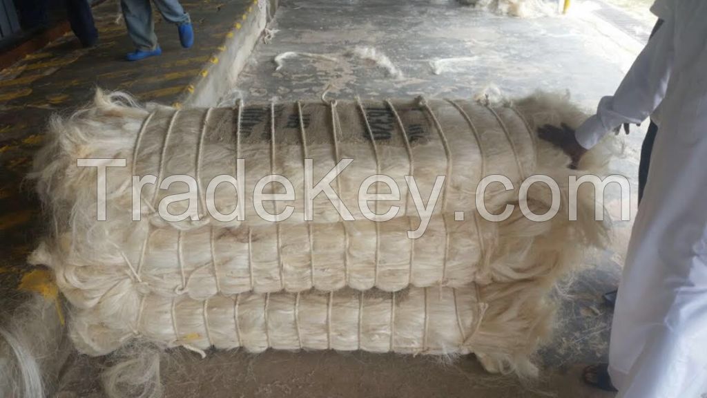 Natural Sisal Fiber for sale