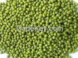 New arrival excellent quality bulk green MUNG beans