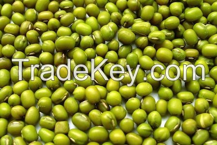 PRICE GREEN MUNG BEANS