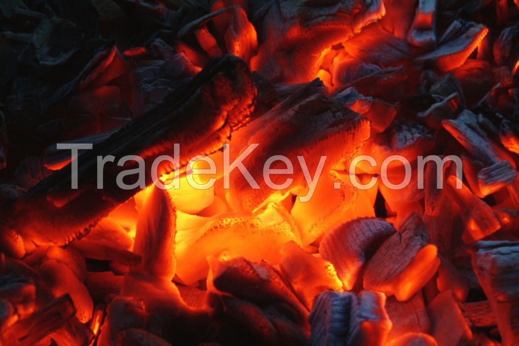 Restaurant grade charcoal offer