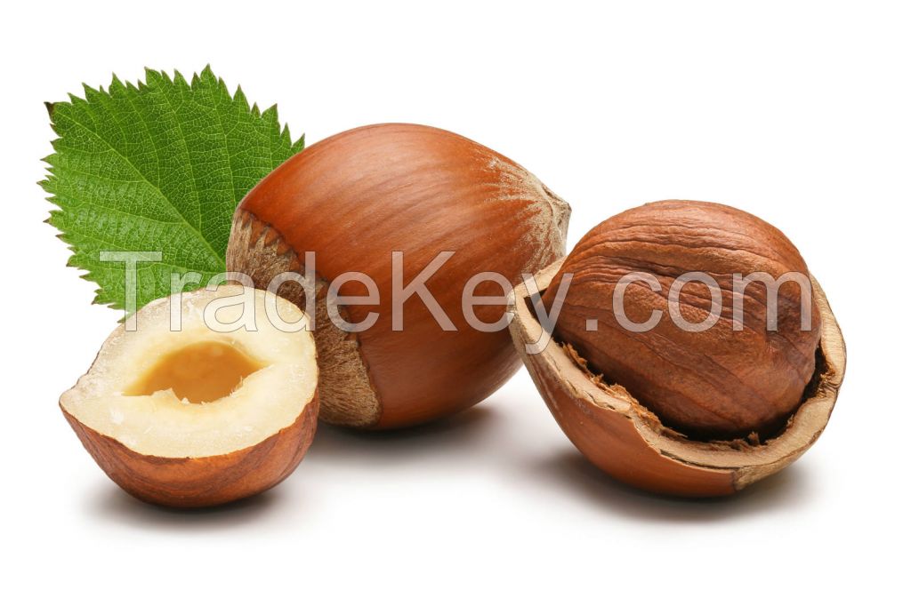 Georgian Hazelnuts
