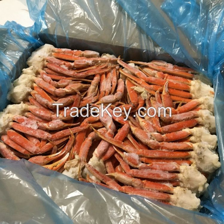 king crab Red King Crab Live and Frozen Red king crab for sale