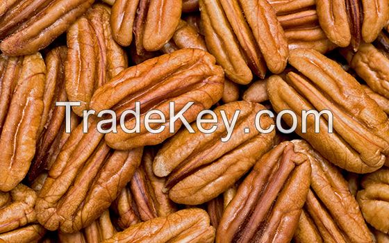 Pecan nuts for sale