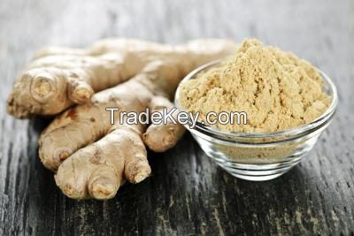 Fresh/Dried Ginger/Powder