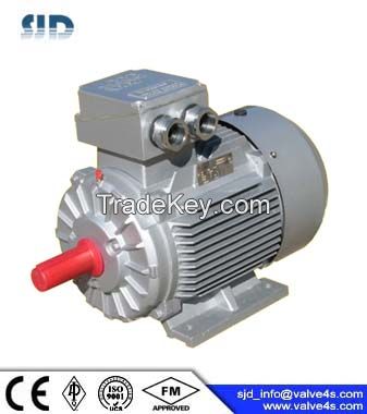 YE3Series Super-High Efficient 3-Phase Asynchronous Motor