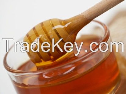 Bulk Organic European Bee Honey in 300kg barrels