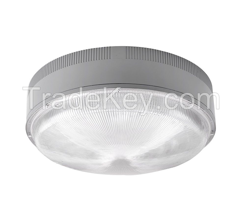 Ceiling Light