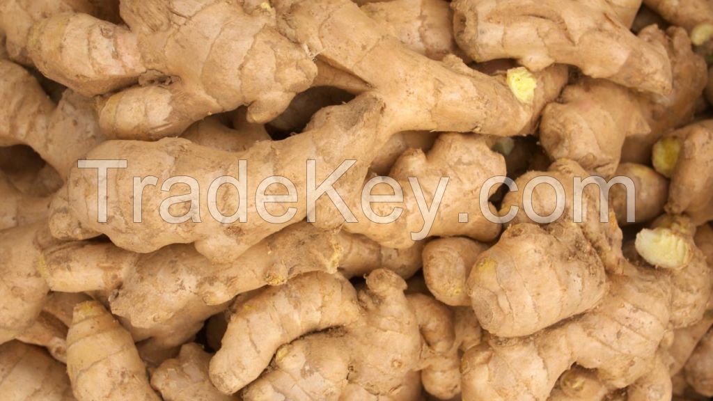 Good quality ginger available