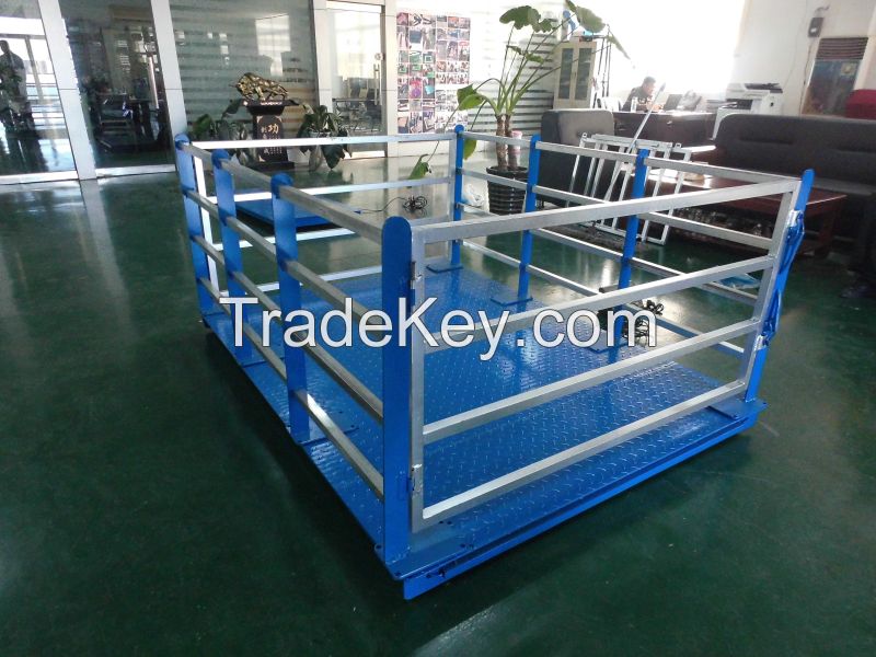 Animal scale, livestock scale hot sale in China
