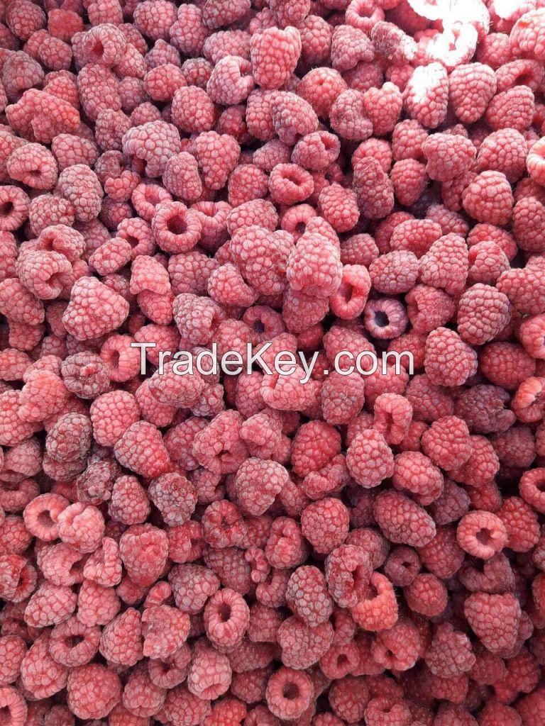 IQF Frozen Raspberry