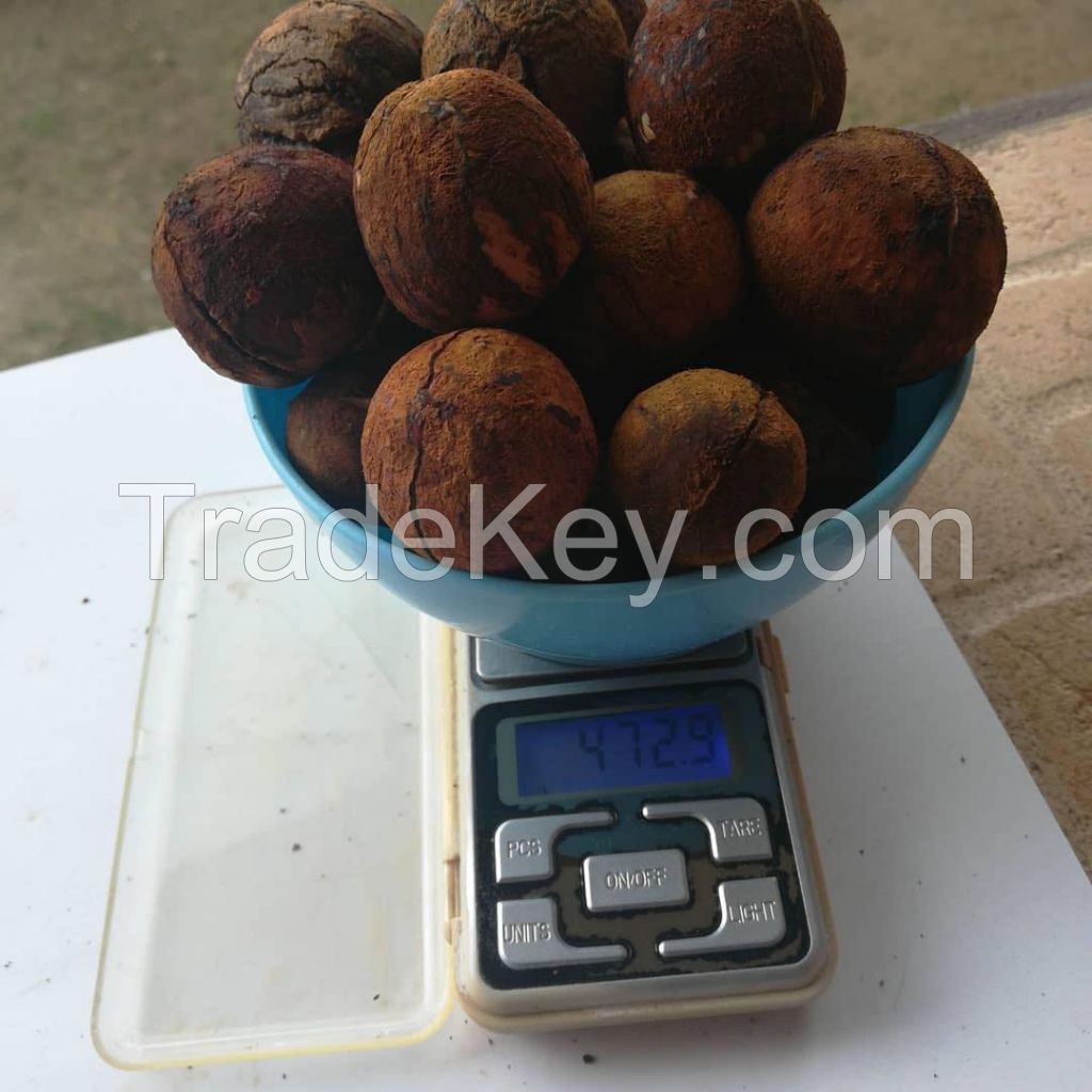 90/10 / Natural Pure Bovine/Cow/Ox Gallstones for sale, competitive price