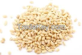 Pearl Barley, 50kg/bag