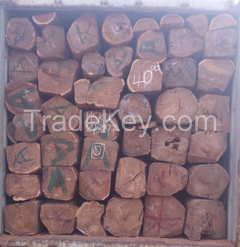 High Quality Kosso Logs For Sale