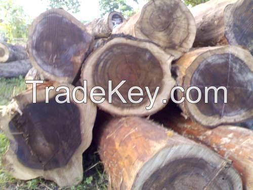 Sale Rosewood Logs