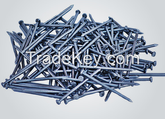 Iron Wire Nails For Sale at best prices and conditions