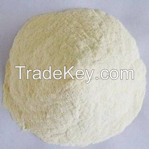 agar agar powder