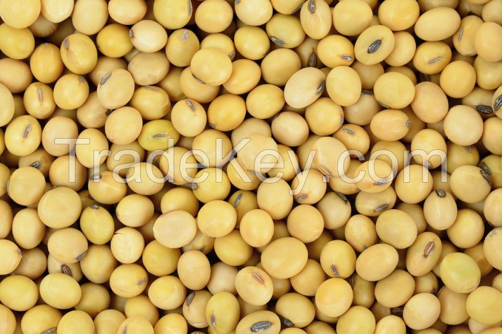 Soybeans