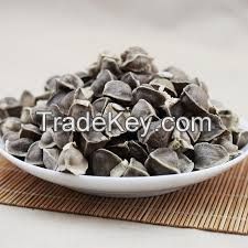 Moringa Seed + leave (dried) For sale