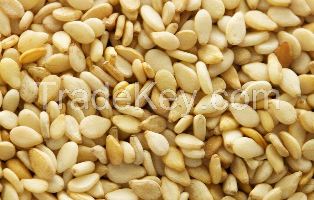 Sesame Seeds