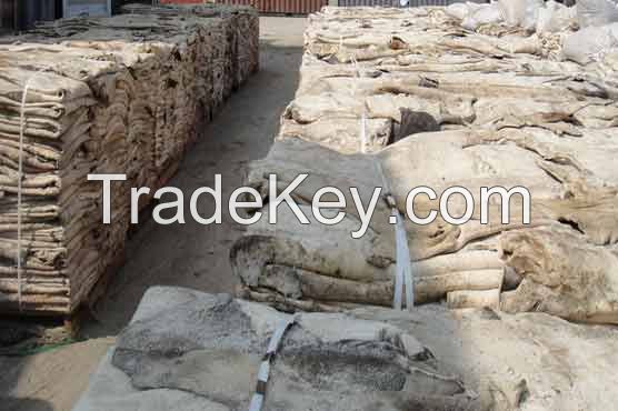 WET SALTED COW HIDE, DONKEY HIDE, AND COW HEAD FOR SALE