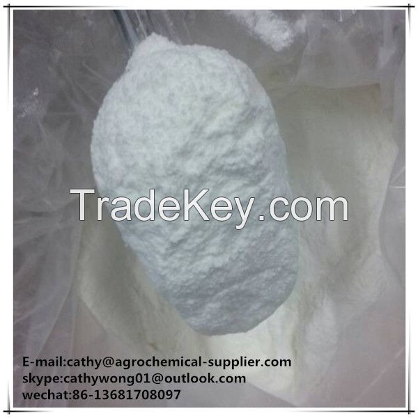 Plant Growth Regulator Gibberellic Acid/GA3 90%TC(CAS NO.77-06-5)