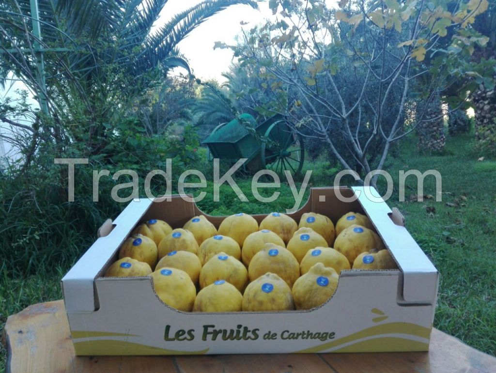 Quince by Fruits de Carthage