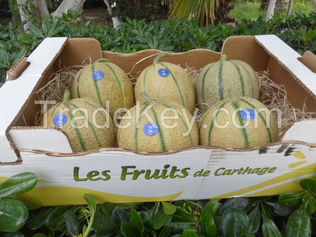 Melon Charentais by Les Fruits De Carthage