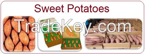 Sweet Potatoes